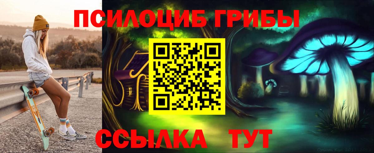 Костомукша  Псилоцибиновые грибы прущие грибы  Вход с VPN 