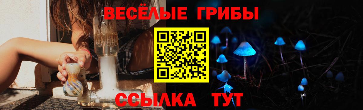 Псилоцибиновые грибы Psilocybine cubensis Костомукша